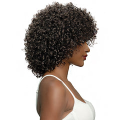 Janet Collection Natural Curly Synthetic Hair Wig - NATURAL KELLEN